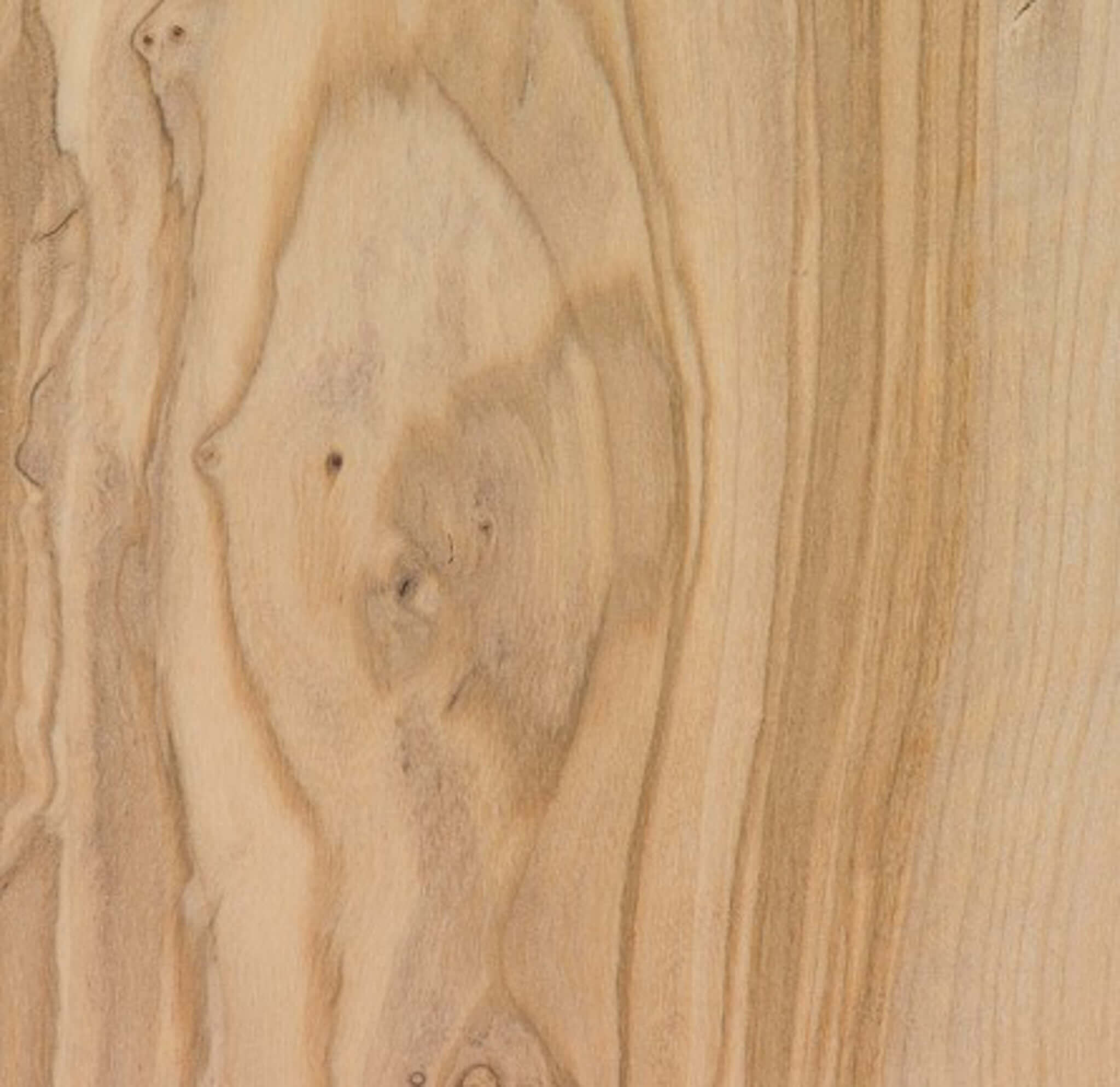 a sample of olivewood wood