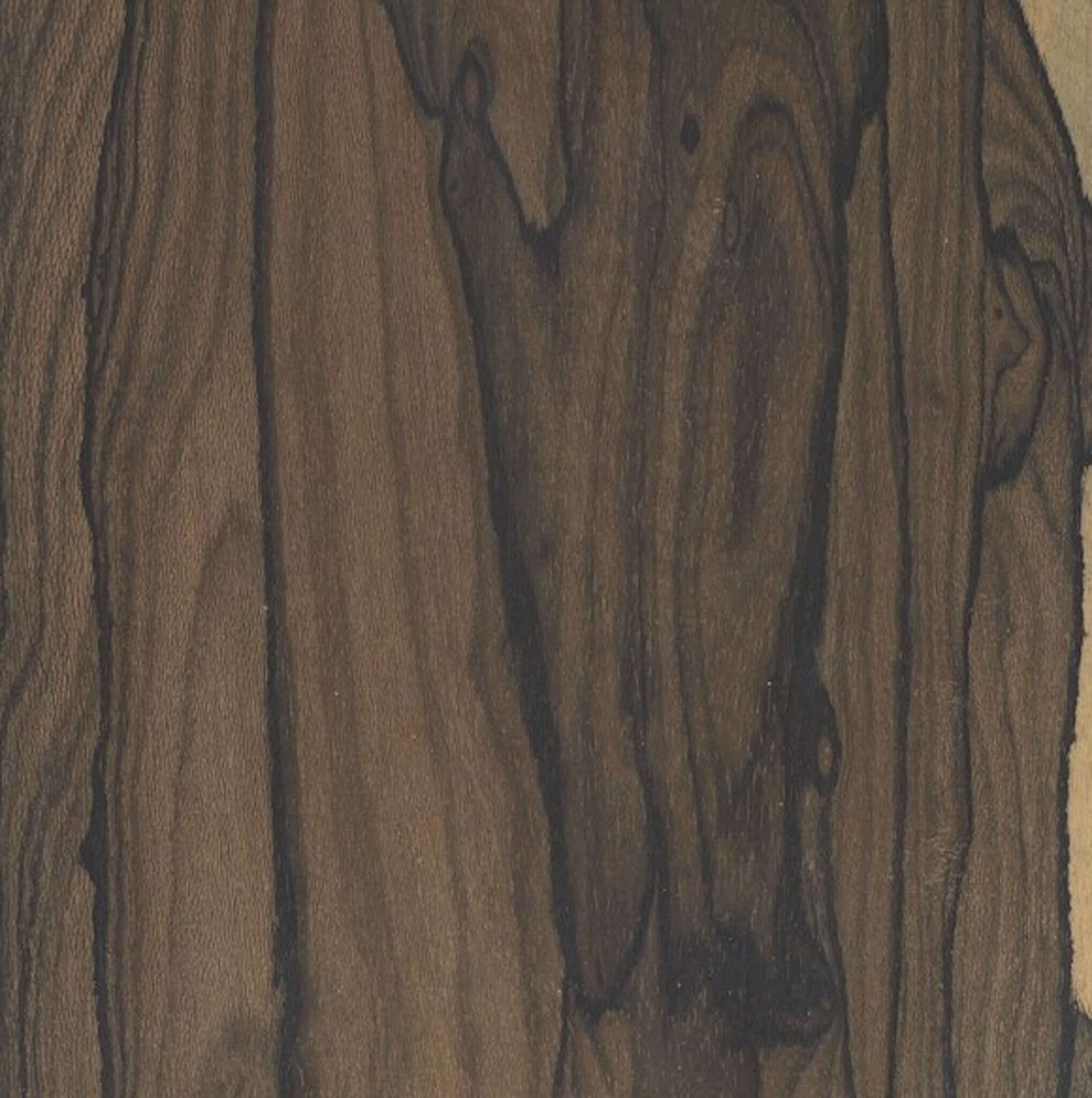 a sample of ziricote wood